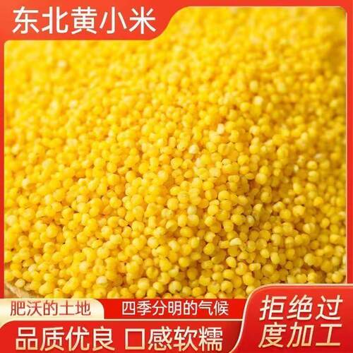 2025新米现磨东北黄小米5斤