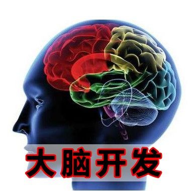 速听训练语音全套 大脑潜能开发 开动右脑智力最强大脑 速听记忆