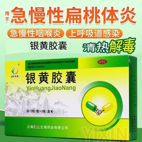 滇珍本草 银黄胶囊 36粒 咽喉炎扁桃体炎上呼吸道感染