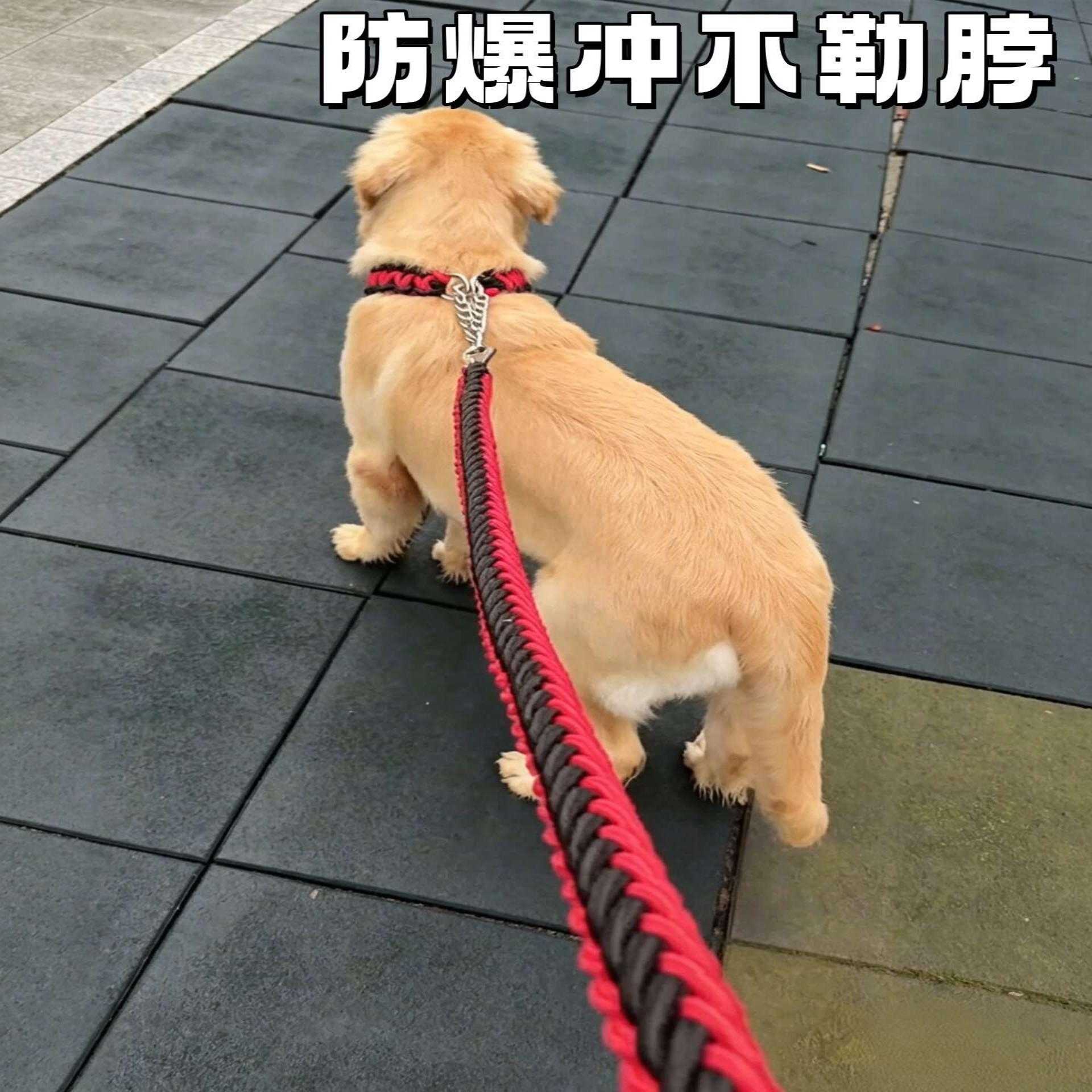 栓狗绳子防挣脱不勒脖大型犬防爆冲加粗款p绳狗狗外出项圈牵引绳