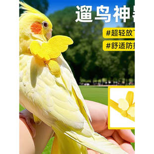 鹦鹉牵引绳外出放飞绳户外遛鸟神器玄凤牡丹超轻不伤脚背带小鸟