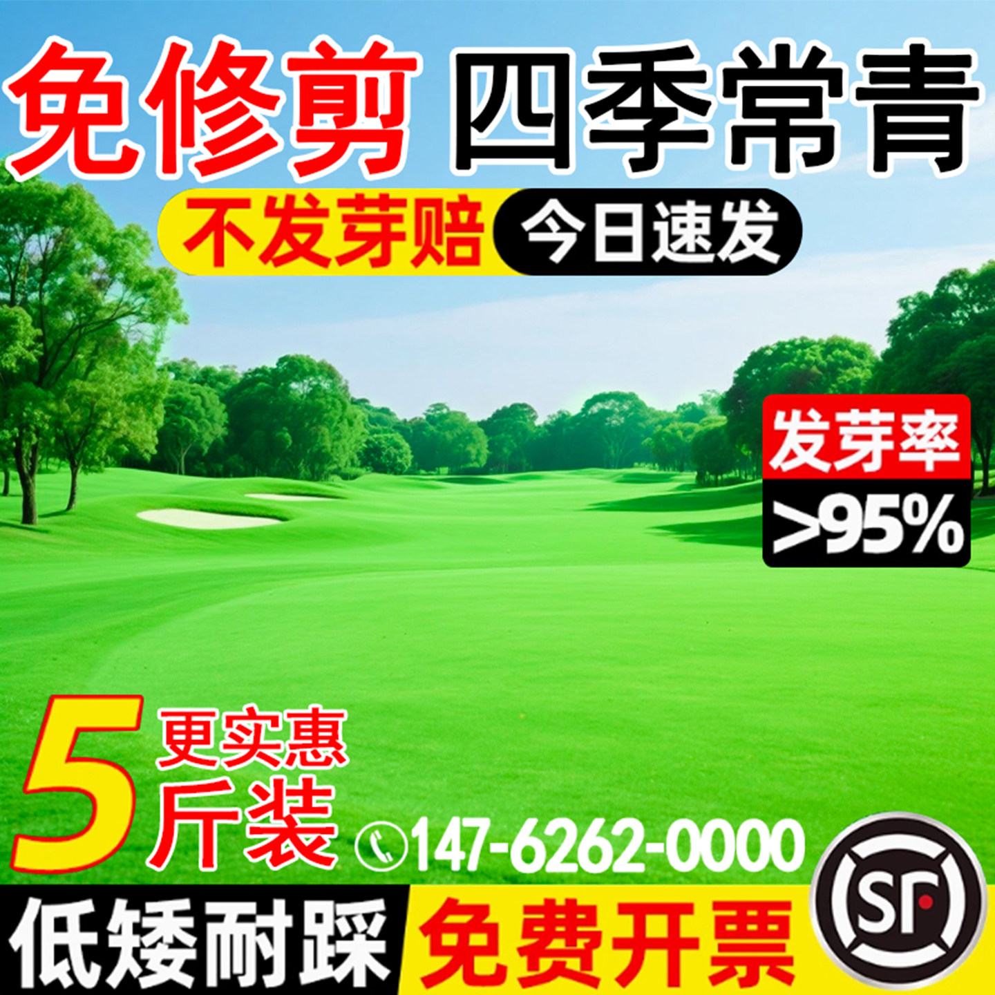 草坪草籽免修剪地毯草皮种籽四季常青护坡狗牙根高羊茅黑麦草种子