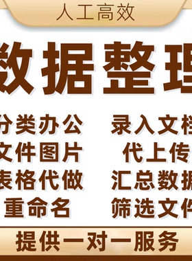 人工整理数据分类办公帮忙代重命名图片归类表格文件录入筛选文档