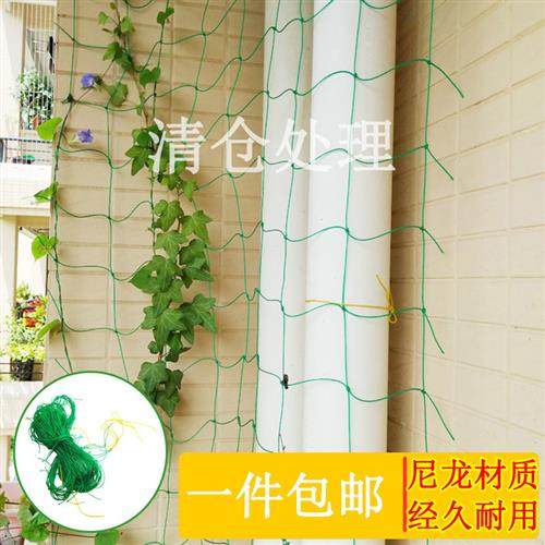 园艺爬藤网百香果葡萄植物攀爬瓜果藤蔓花卉尼龙网豆角牵藤搭架网,鲜花速递/花卉仿真/绿植园艺,其它园艺用品,淘宝优惠券,粉丝福利购,淘宝优惠卷