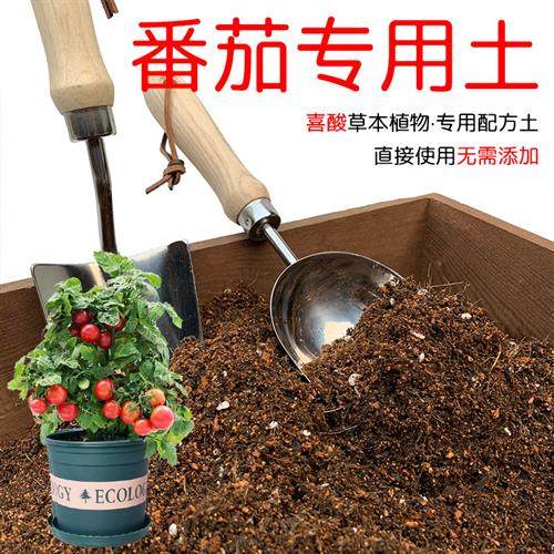 番茄土番茄专用土酸性土椰糠泥炭土种植土壤盆栽果树通用型营养土,鲜花速递/花卉仿真/绿植园艺,介质/营养土,淘宝优惠券,粉丝福利购,淘宝优惠卷