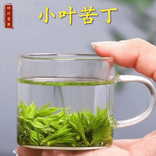 小叶苦丁2026新茶米芽嫩叶四川宜宾遇水复活青山绿水毛冬青花草茶