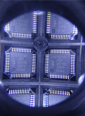 全新原装进口 LPC11C14FBD48301 QFP48 一元电子 现货欢迎询价