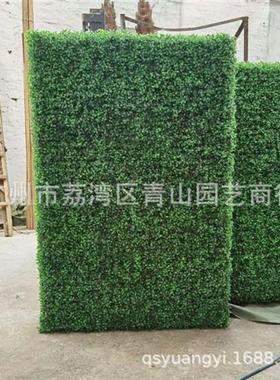 米兰草篱笆可定米兰草系列造型盆栽方块绿色仿真植物厂家