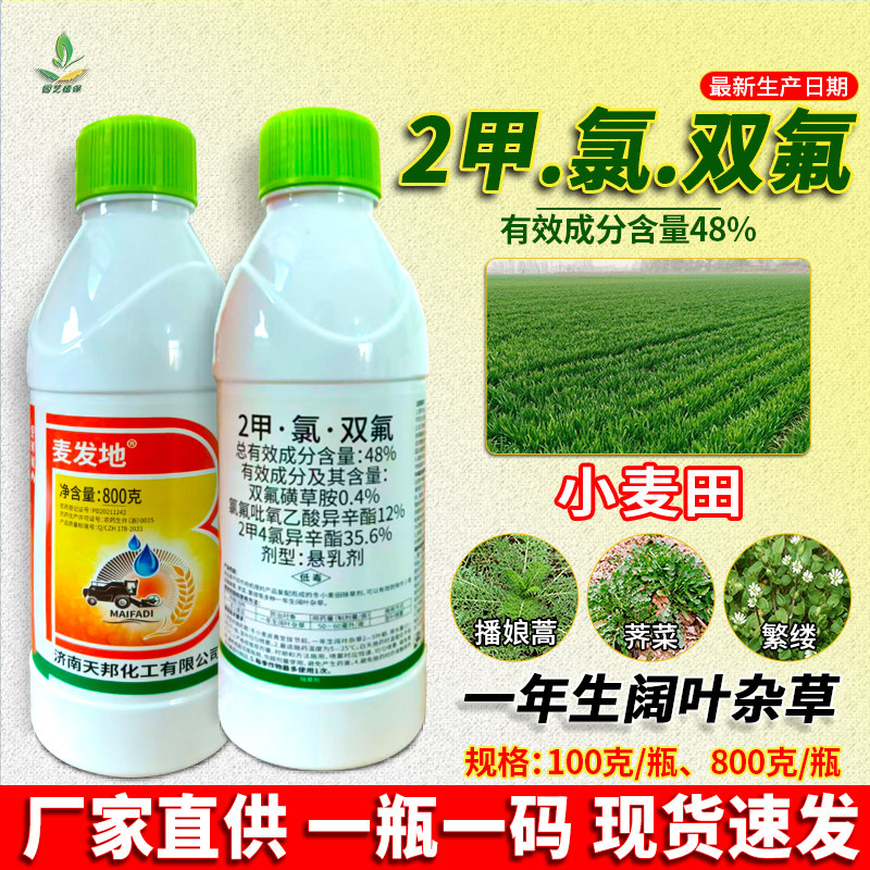 48%2二甲氯双氟小麦田苗后除草剂荠菜繁缕播娘蒿阔叶杂草专用农药