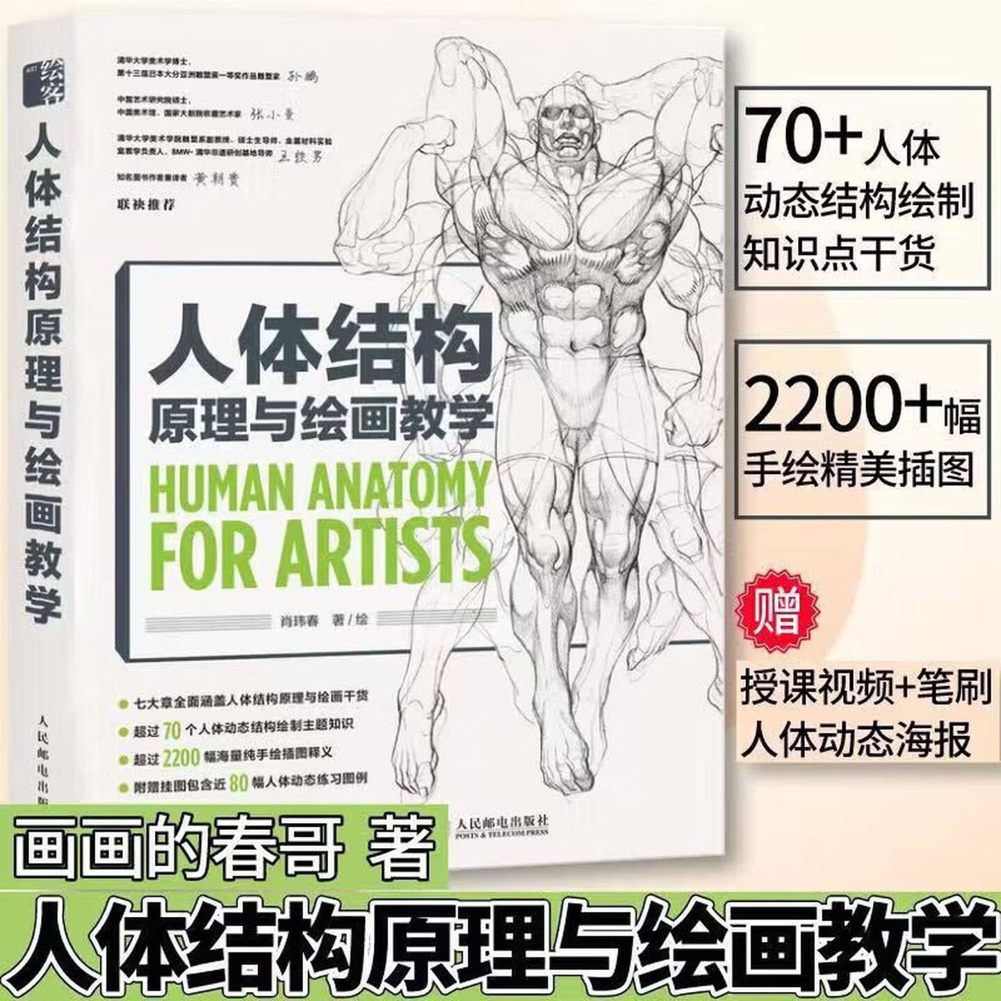 人体结构原理与绘画教学肖玮画画的春哥插画人物结构造型绘画零基础入门自学教材临摹画集设计教程书图片