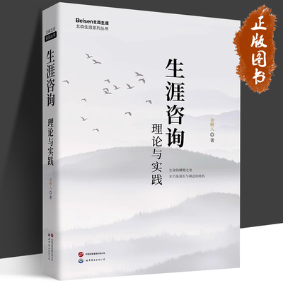 生涯咨询理论与实践 金树人 生涯发展 职业 人生规划书籍 生涯理论的底层知识逻辑框架 世界图书出版公司 9787523216873