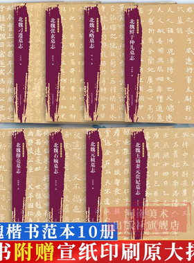 【10册可选】北朝墓志精选北魏鲜于仲儿张玄元略寇臻石婉元桢王诵妻元贵妃刁遵李谋穆亮墓志 河南美术出版社 魏碑毛笔书法字帖临摹