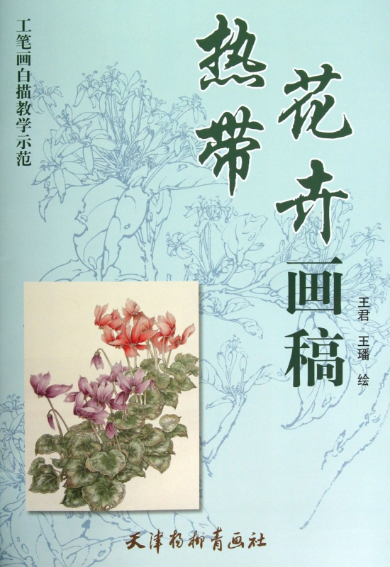 热带花卉画稿 工笔画白描教学示范 王君王璠翚 白描画稿仙客来步骤