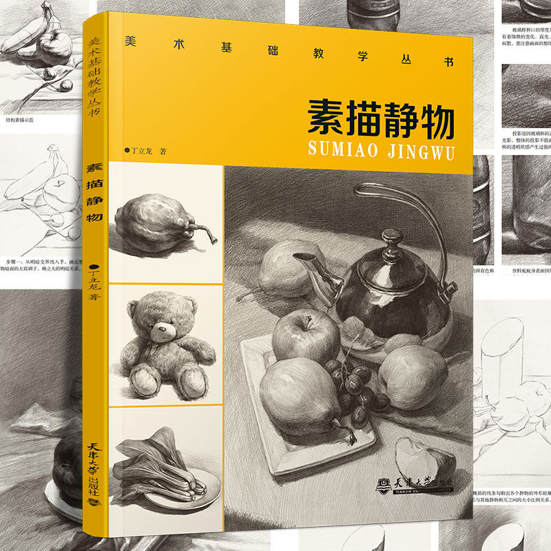 美术基础教学丛书素描静物 丁立龙著 他的作品有丁立龙水粉静物应试范本 高考色彩难点攻关：塑造训练等系列 天津大学出版社