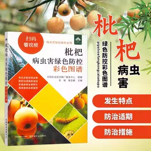 现货包邮 枇杷病虫害绿色防控彩色图谱 张斌 夏忠敏 枇杷树栽培种植技术书籍枇杷果树病虫害防治果树施肥管理书 中国农业出版社
