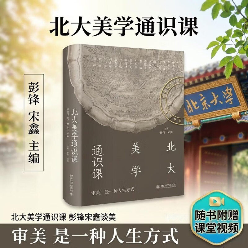 北大美学通识课 彭锋 讲座实录 附赠课堂视频 中国古代佛教艺术欣赏 敦煌艺术 中国美术史 宋代诗词自然观照 北京大学旗舰店正版