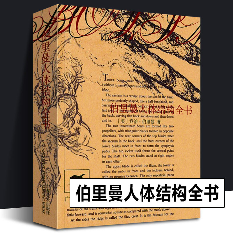 【正版包邮】伯里曼人体结构全书袖珍版便携小开本 人体人物绘画教学素描大师速写临摹基础入门技法教程动漫画手解剖 美术艺考书籍