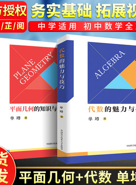 代数的魅力与技巧平面几何的知识