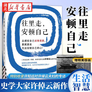 活着很累安顿自己 读客书籍 往里走 十三邀嘉宾全彩精装 生活智慧 心写给年轻人 90岁史学大家 许倬云著 安顿自己 官方正版