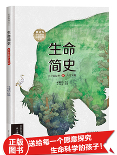 生命简史 随书附赠进化树海报从宇宙起源到人类文明 精装硬壳大开本少儿彩绘版我们从哪里来 青少年科普绘本生物进化图鉴 儿童绘本