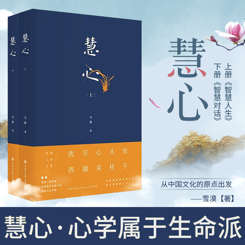 正版 慧心(上下)全2册雪漠著人生哲学读物雪漠书籍系列国学文化佛法修正宗教佛法修正国学经典当代散文随笔 hhm