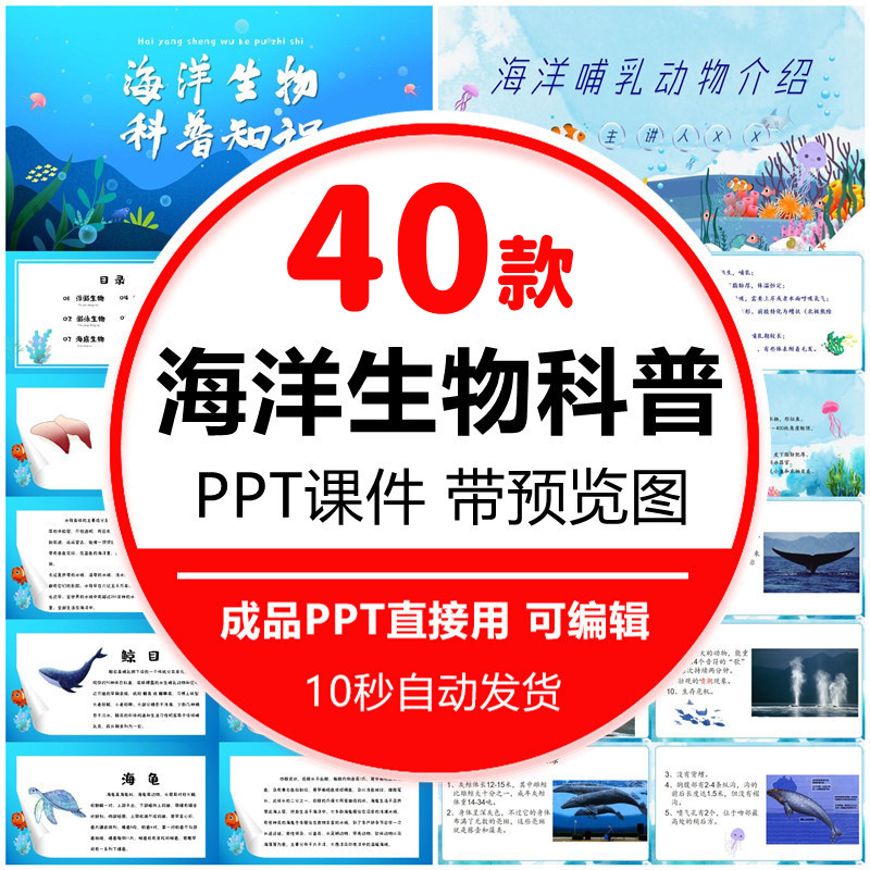 海洋生物动物知识科普PPT模板卡通儿童班会教学课件知识分享素材