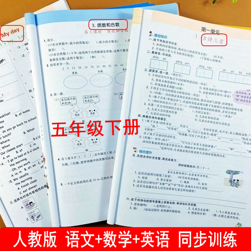 乐学熊同步训练五年级下册语数英
