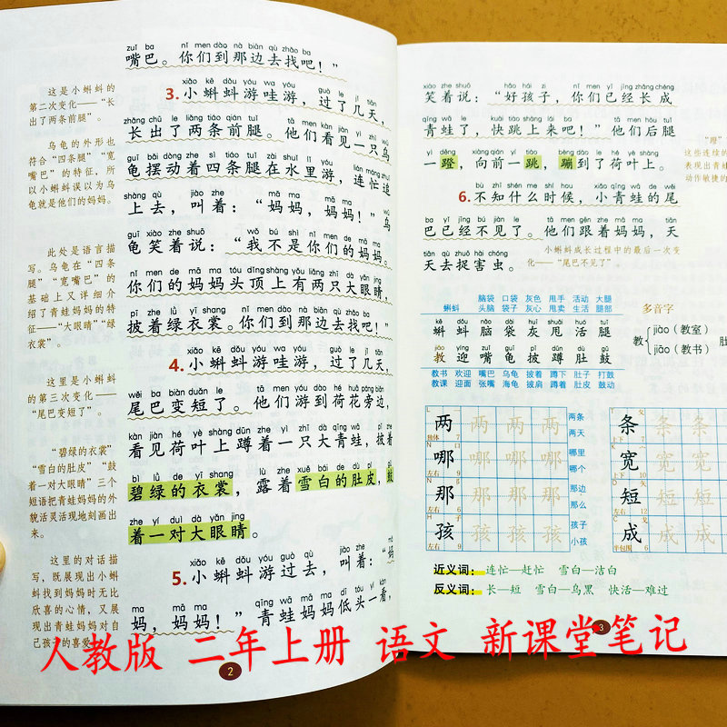 2025秋新课堂笔记【视频讲解】