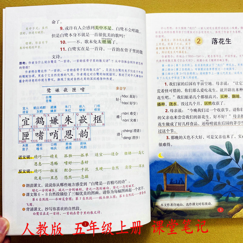 人教版新课堂笔记五年级上册