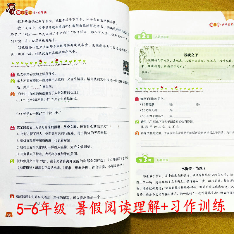 暑假阅读理解写作训练五年级下册
