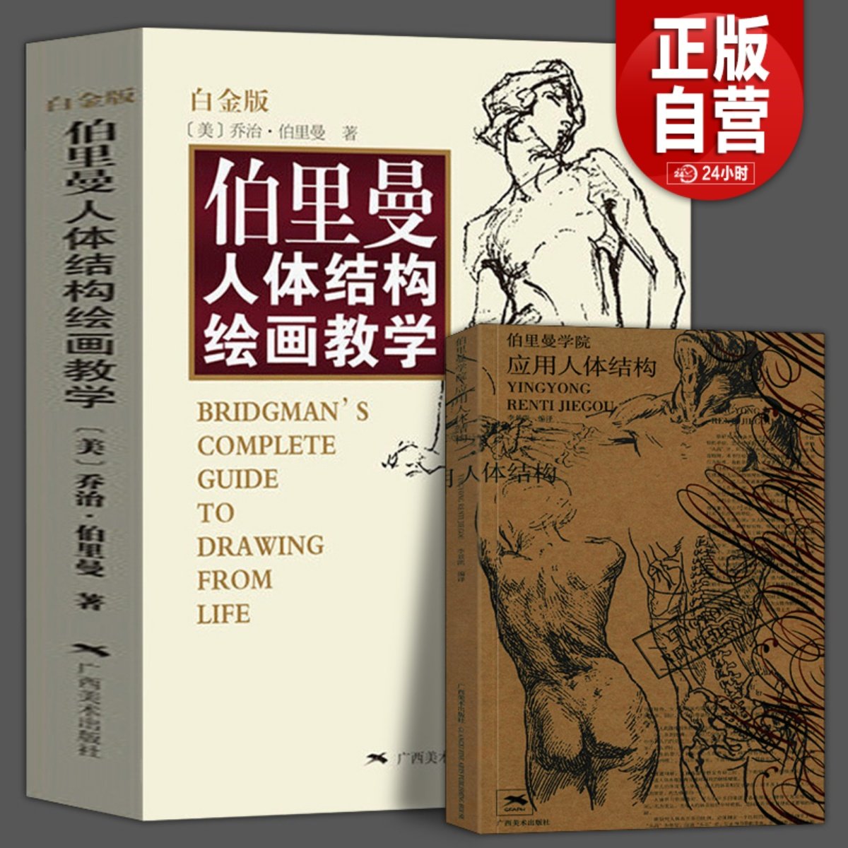 伯里曼人体结构绘画教学白金版 伯里曼应用人体结构人物素描速写大师
