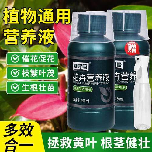 浓缩植物营养液花肥通用化肥料家用绿植盆栽绿萝叶黄富贵竹
