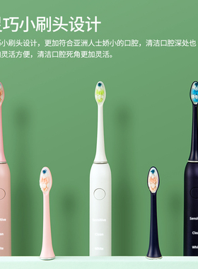 BESONO贝声 正畸 替换刷头  成人 原装BSA星耀  BSB公主系列