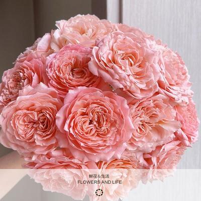 精品AB级鲜花多头玫瑰【朱丽叶塔