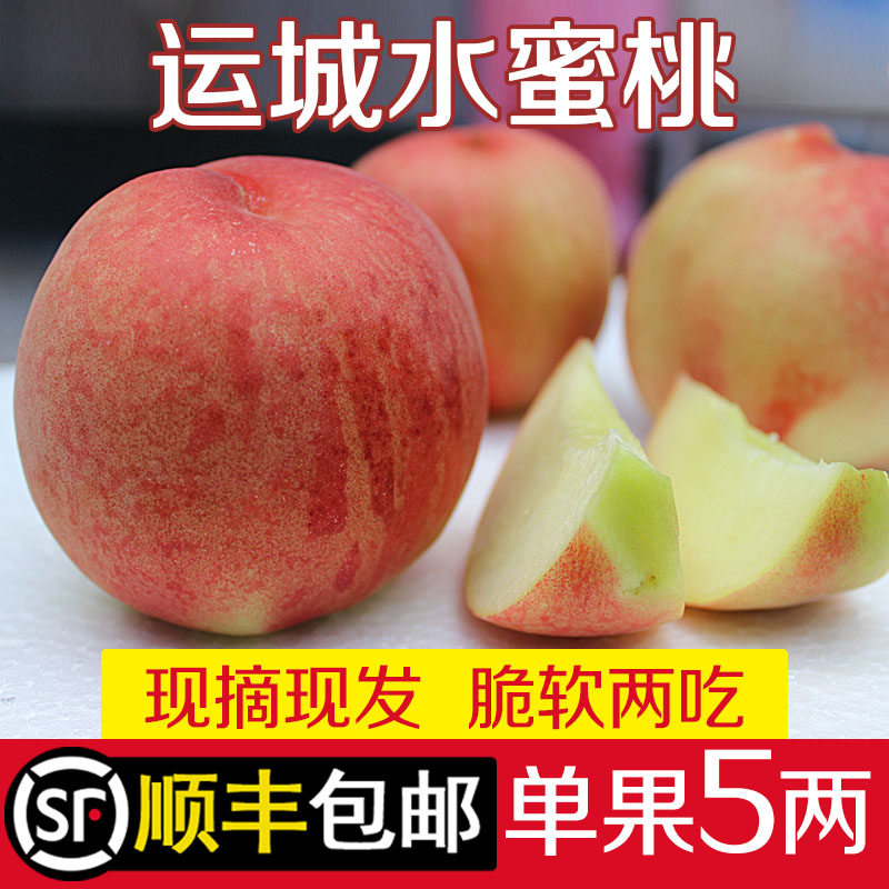 山西运城新鲜水果水蜜桃顺丰包邮