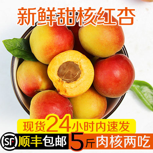新鲜水果现摘现发顺丰红杏甜杏子