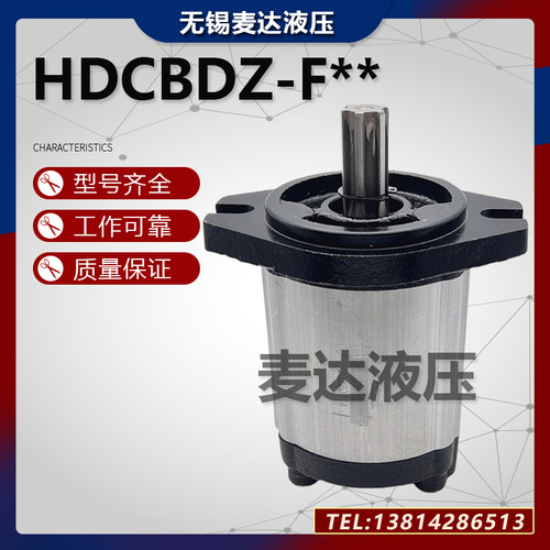 Ketai齿轮泵HDCBDZ-F25AL12H1-BB