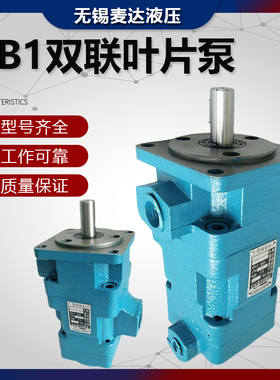 双联叶片泵YB1-16/6 YB1-10/10 YB1-25/16 YB1-63/25液压泵油泵