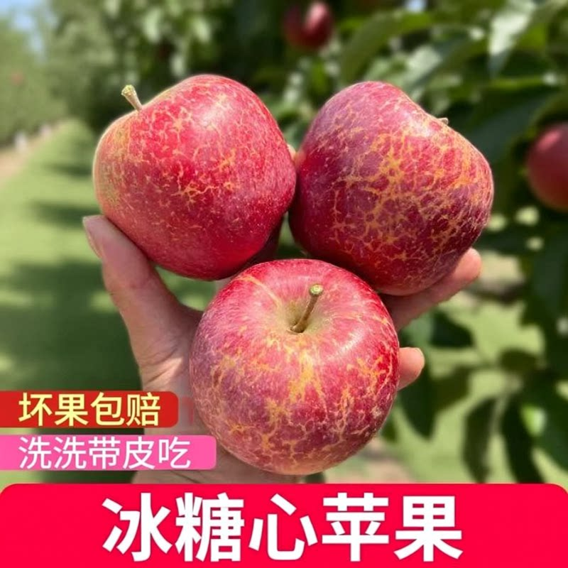 正宗云南昭通新鲜冰糖心丑苹果原产地现摘脆甜好吃营养多汁肉厚