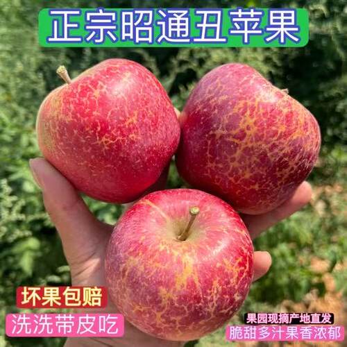 现摘现发新鲜红富士苹果水果脆甜冰糖心丑平果