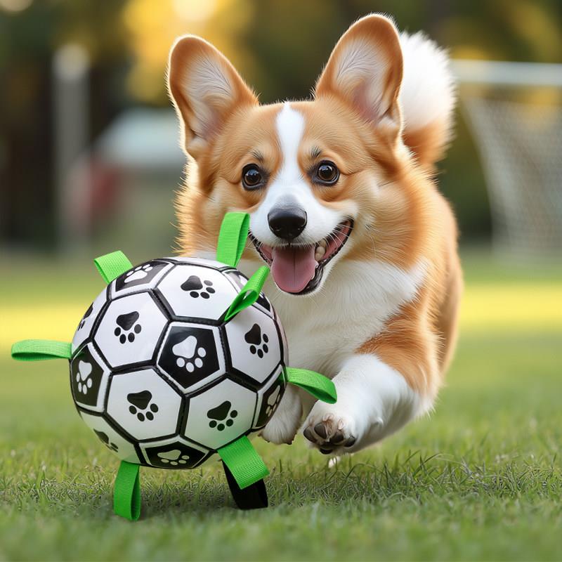 狗狗玩具球边境牧羊犬自嗨玩具拉布拉多柯基训练专用狗足球耐咬宠