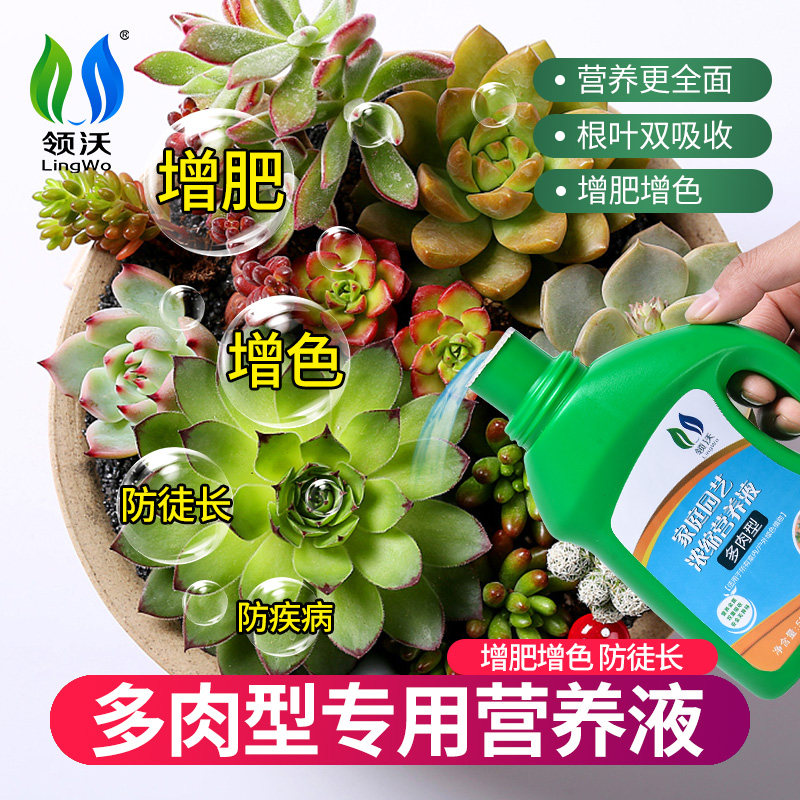 速发多肉浓养根专用肥植物肉多多增色促生液营缩爆芽优芽花卉肥料