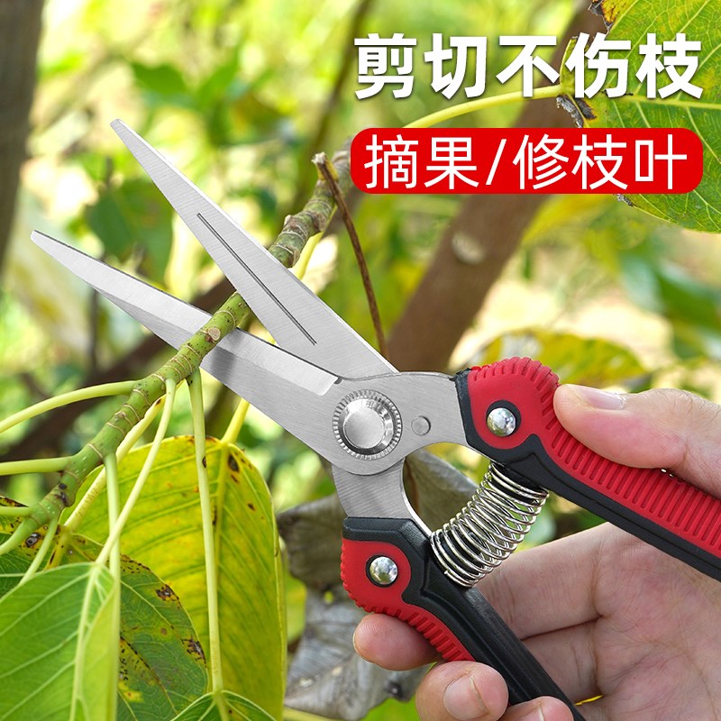 速发果木枝剪摘果修剪树枝花椒果蔬剪子葡萄工果水用剪刀专具摘果