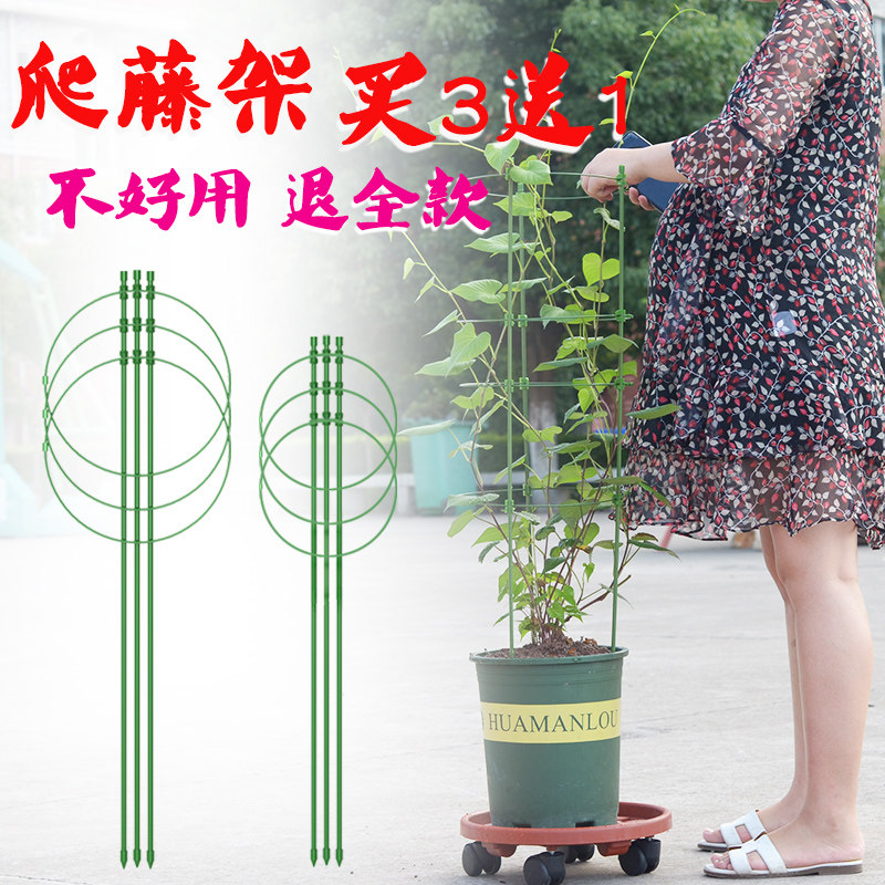 速发支金葛黄架莉藤架客厅球兰花风车茉爬月季花架花卉支伸缩杆攀