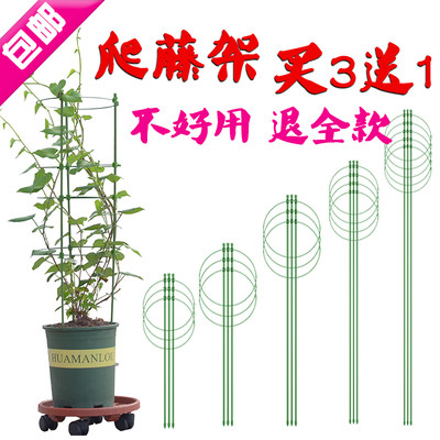 极速黄金葛支架爬藤架客厅球兰花风车茉莉月季花架花卉支伸缩杆攀