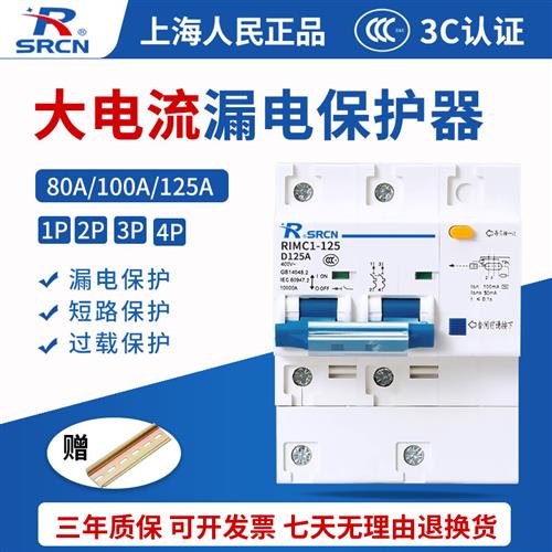 上海人民DZ47LE-125漏电保护器家用漏保220V2P3P4P电闸开关80A100