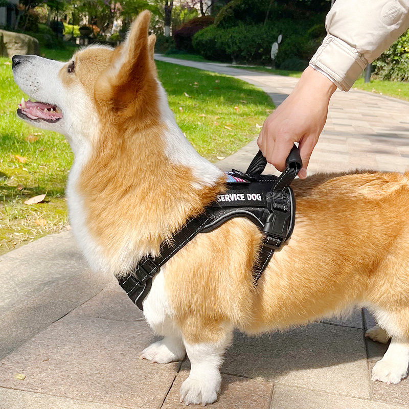牵引绳防爆冲中大狗背心式胸抱婴袋柯基柴犬杜宾中大型犬遛狗绳狗