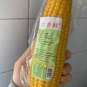 促销新日期有嚼劲忻州传统黄老式笨玉米棒新鲜香糯低卡代餐儿时味
