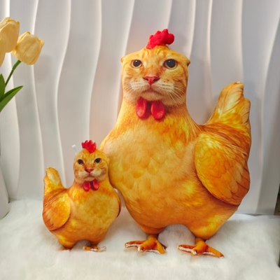 仿真鸡毛绒玩具3D靠垫可爱耄耋猫玩偶抱枕儿童陪睡搞怪抽象礼物女