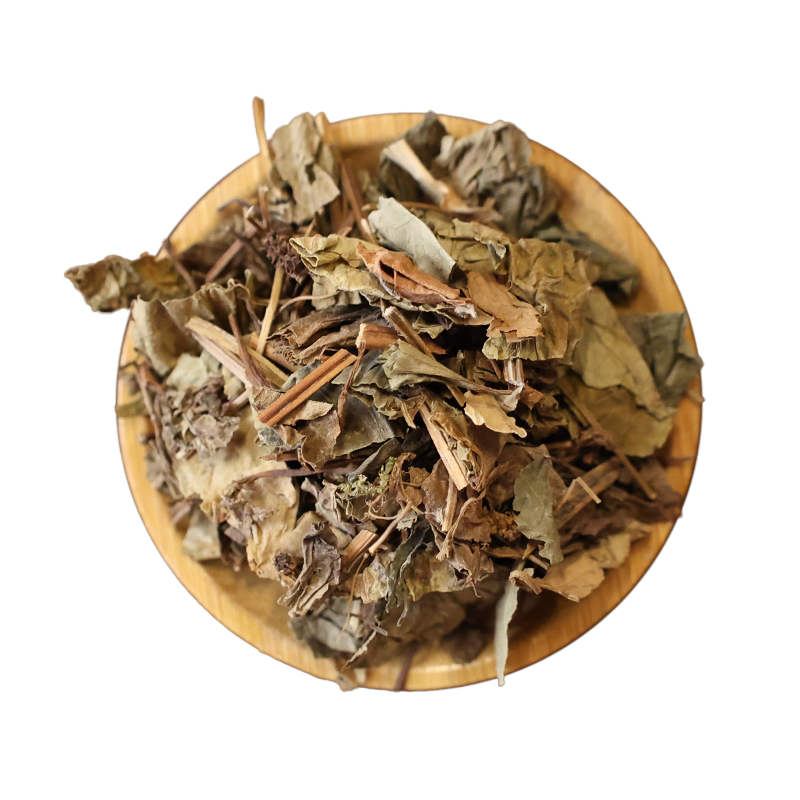 采芝林鱼腥草中药饮片